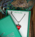 Paua shell red heart locket