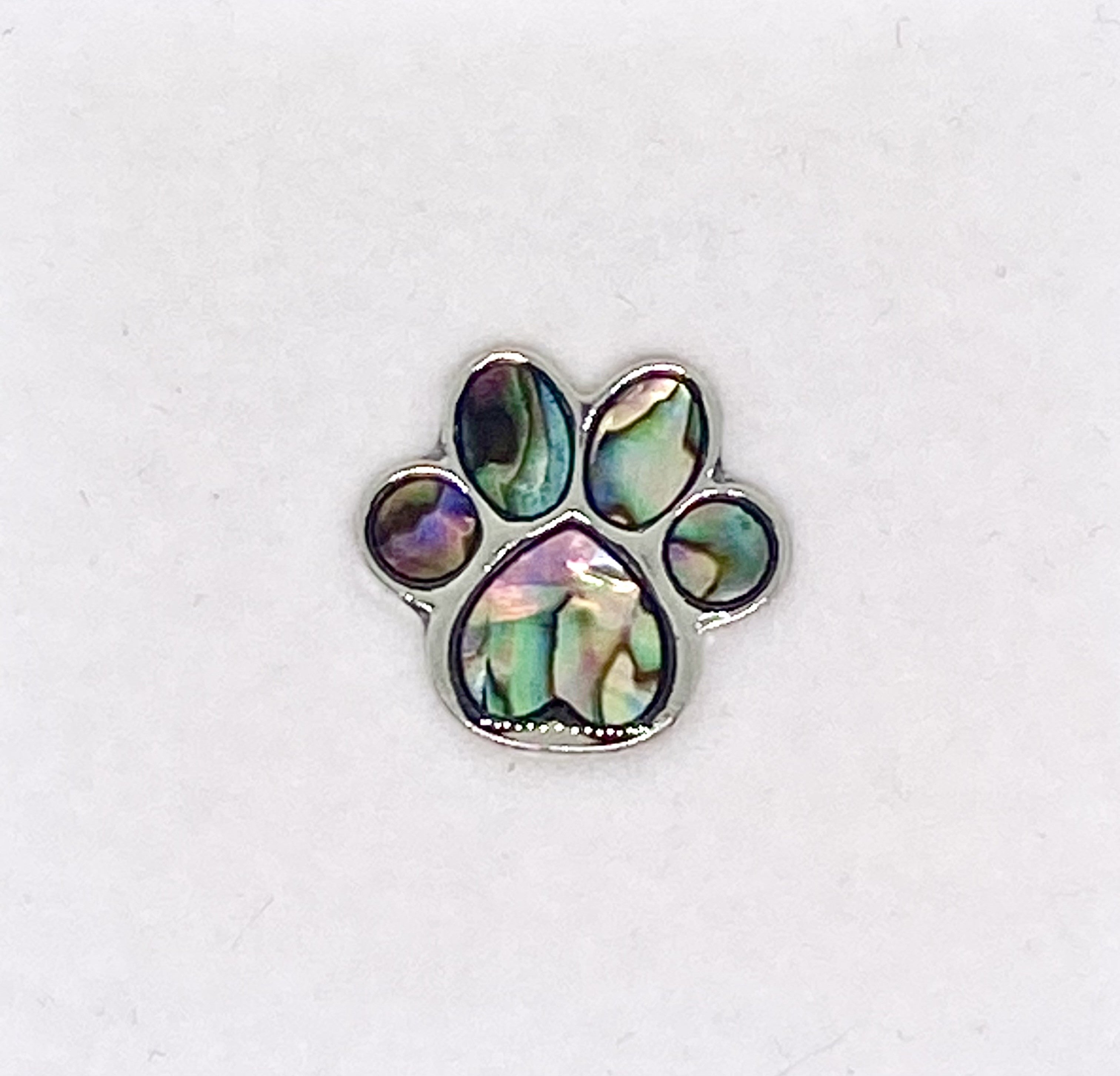 Paua shell paw print pin badge with iridescent abalone shell inlay